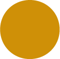 Graduate Profile